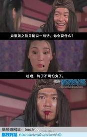 邪恶视频成人向