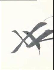 练字视频推荐成人版,跟随视频轻松提升书写技巧