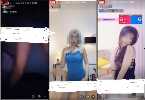 成人性13视频教程,13个关键视频教程深度解析