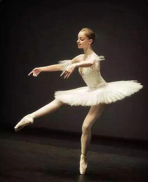 芭蕾成人舞蝴蝶视频大全,芭蕾成人舞蝴蝶视频精选集锦