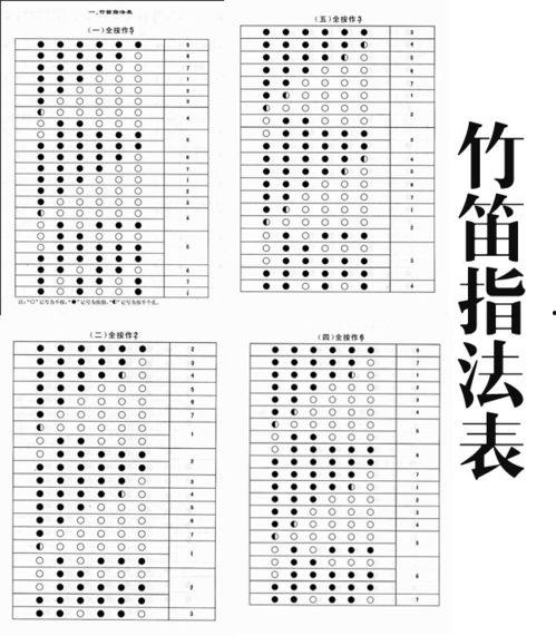 成人初学笛子怎么学视频,成人笛子入门学习指南